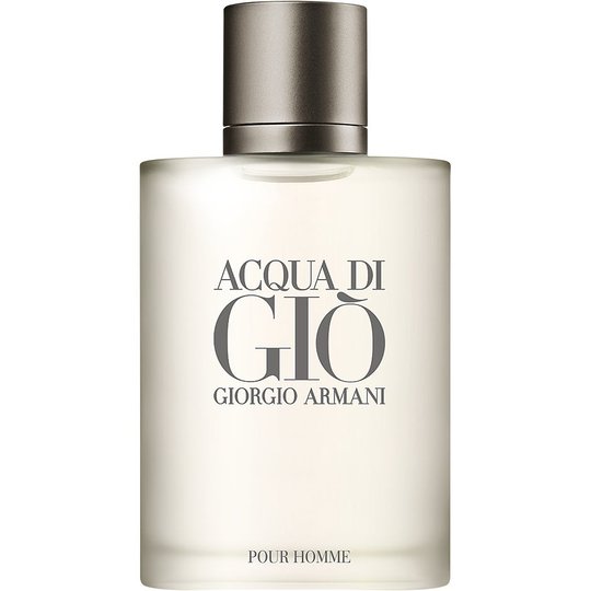 Giorgio Armani Acqua Di Gio Pour Homme EdT, 100 ml Giorgio Armani Hajuvedet