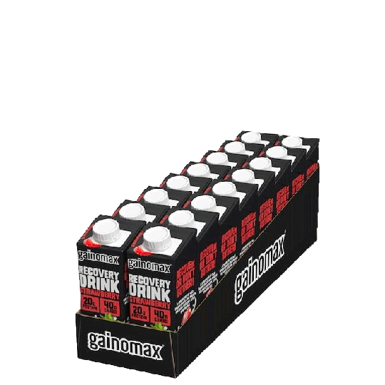 16 x Gainomax Recovery, 250 ml